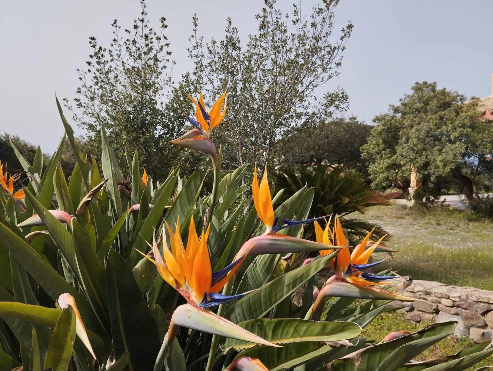 Holiday Home Riccio Di Mare Sardinia Marongiu Exteriér fotografie